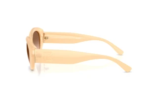 Vista laterale Ralph Lauren RL8232U (624513)