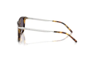 Vista laterale Ralph Lauren RL8233U (51341A)