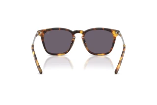 Vista posteriore Ralph Lauren RL8233U (51341A)