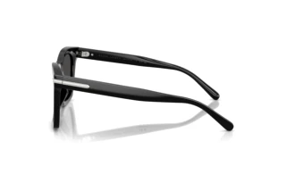 Vista laterale Ralph Lauren RL8235U (500187)