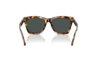 Vista posteriore Ralph Lauren RL8235U (617887)