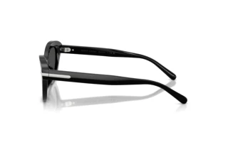 Vista laterale Ralph Lauren RL8236U (500187)