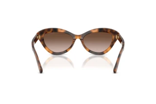 Vista posteriore Ralph Lauren RL8236U (608913)