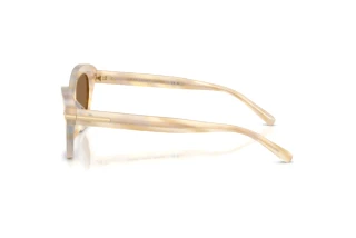 Vista laterale Ralph Lauren RL8236U (617673)