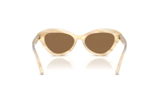 Vista posteriore Ralph Lauren RL8236U (617673)