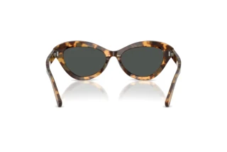 Vista posteriore Ralph Lauren RL8236U (617887)