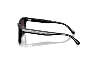 Vista laterale Ralph Lauren RL8237U (50018G)