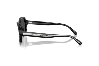 Vista laterale Ralph Lauren RL8238U (500187)