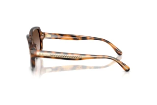 Vista laterale Ralph Lauren RL8238U (608913)