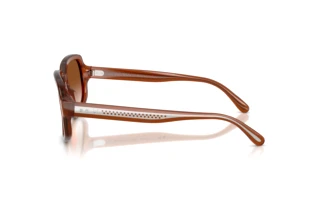 Vista laterale Ralph Lauren RL8238U (630613)