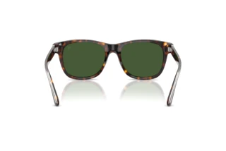 Vista posteriore Ralph Lauren RL8239U (500371)