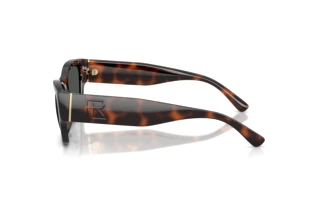 Vista laterale Ralph Lauren RL8240U (624187)