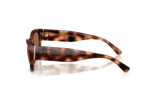 Vista laterale Ralph Lauren RL8240U (635173)