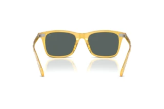 Vista posteriore Ralph Lauren RL8242U (50053R)