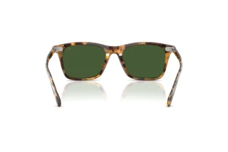 Vista posteriore Ralph Lauren RL8242U (633971)