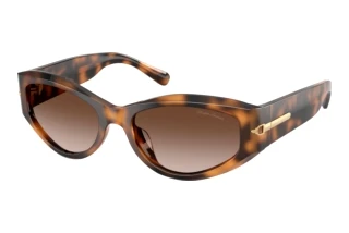 Vista frontale Ralph Lauren RL8243U (608913)
