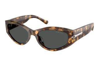 Vista frontale Ralph Lauren RL8243U (617887)