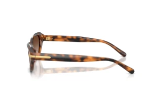 Vista laterale Ralph Lauren RL8244U (608913)