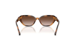 Vista posteriore Ralph Lauren RL8244U (608913)