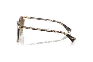 Vista laterale Ralph VVCV (RA5293 - 6072T5)