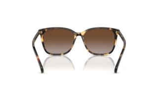 Vista posteriore Ralph VVCV (RA5293 - 6148T5)