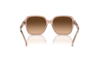 Vista posteriore Ralph RA5304U (611474)