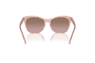 Vista posteriore Ralph RA5310U (615314)