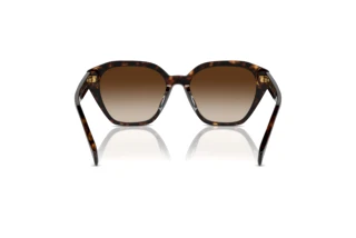 Vista posteriore Ralph RA5315U (500313)