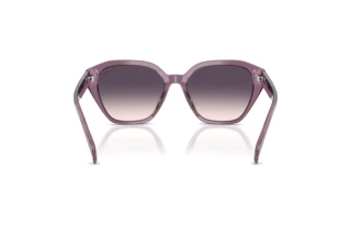 Vista posteriore Ralph RA5315U (620736)