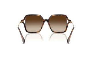 Vista posteriore Ralph RA5319U (500313)