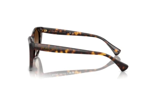 Vista laterale Ralph RA5324U (500313)