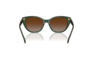 Vista posteriore Ralph RA5324U (6206T5)