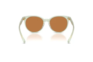 Vista posteriore Ralph RA5331U (604973)