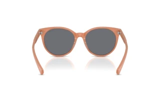 Vista posteriore Ralph RA5331U (623787)