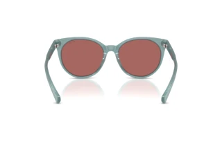 Vista posteriore Ralph RA5331U (624069)