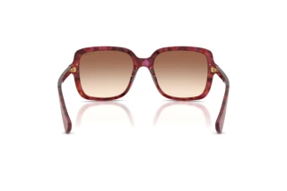 Vista posteriore Ralph RA5333U (623913)