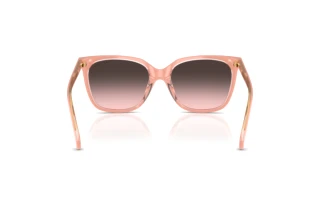 Vista posteriore Ralph RA5343U (629646)