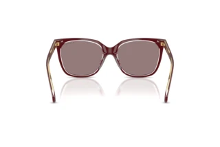 Vista posteriore Ralph RA5343U (62997N)