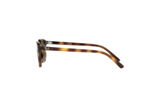 Vista laterale Ray-Ban Kids JUNIOR LEONARD (RJ9093S - 152/71)