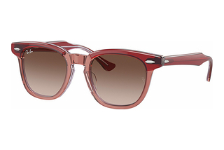 Ray-Ban Kids RJ9098S 715413