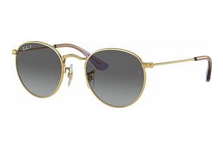 Ray-Ban Kids RJ9547S 292/T3 GreyArista Gold