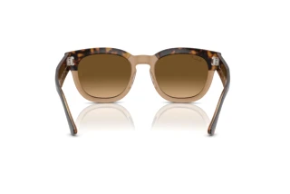 Vista posteriore Ray-Ban MEGA HAWKEYE (RB0298S - 1292M2)