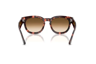 Vista posteriore Ray-Ban MEGA HAWKEYE (RB0298S - 133451)