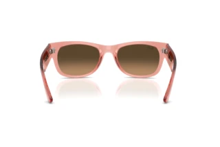 Vista posteriore Ray-Ban MEGA WAYFARER II (RB0832S - 684843)