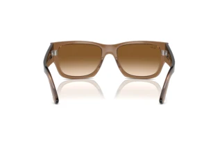Vista posteriore Ray-Ban CARLOS (RB0947S - 664051)