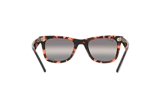 Vista posteriore Ray-Ban WAYFARER (RB2140 - 1334G3)