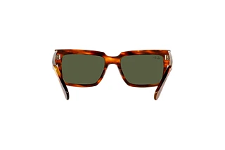 Vista posteriore Ray-Ban INVERNESS (RB2191 - 954/31)