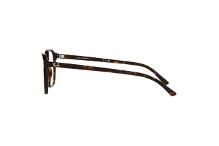 Vista laterale Ray-Ban LEONARD (RB2193 - 902/GH)