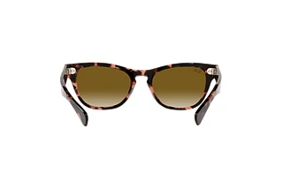 Vista posteriore Ray-Ban LARAMIE (RB2201 - 133451)