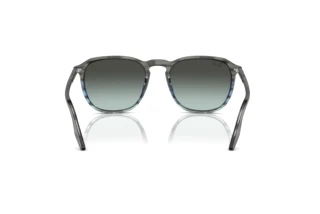 Vista posteriore Ray-Ban RB2203 (1391GK)